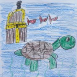 Klassentier Schildkröte Kinderzeichnung einer im Wasser schwimmenden Schildkröte.
